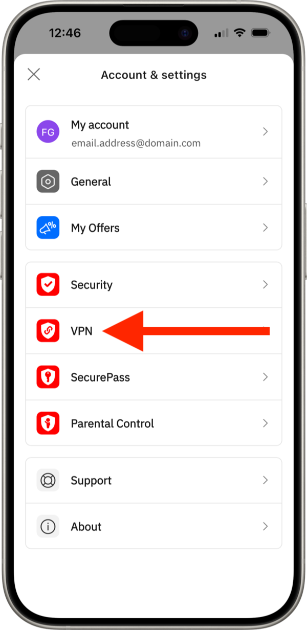 VPN